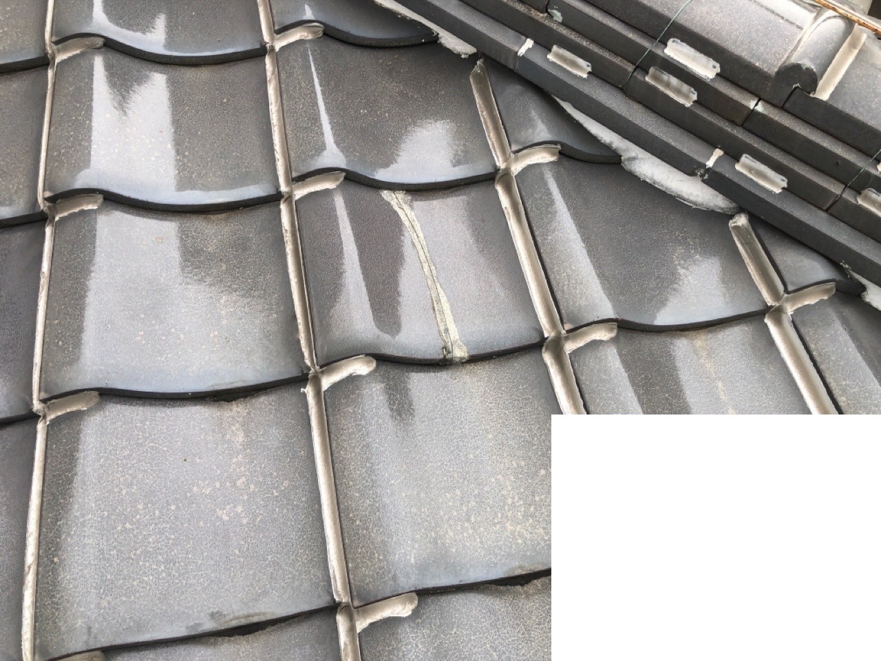 瓦差し替え工事　施工前